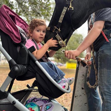 A toddler in a stroller reaches up to pet a horse's nose at a community event.