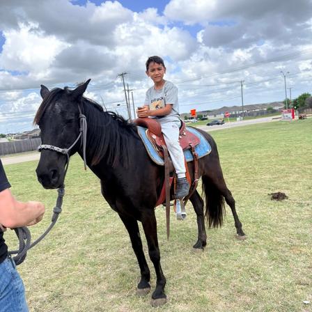 A boy rides a black pony on a grassy lawn at an outdoor party.